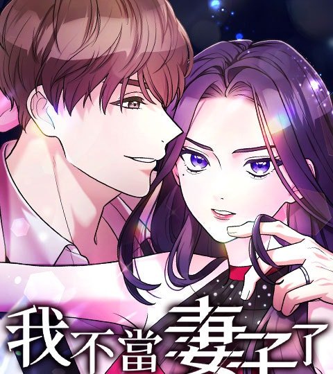 我不當妻子了封面